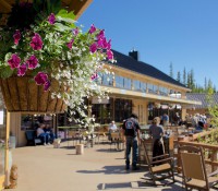 Denali Square (Bild: Holland America Line)