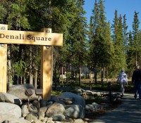 Denali Square (Bild: Holland America Line)