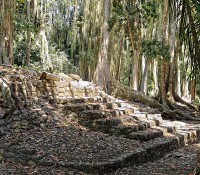 Maya-Ruinen in Chacchoben