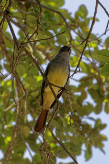 Roatan, Honduras