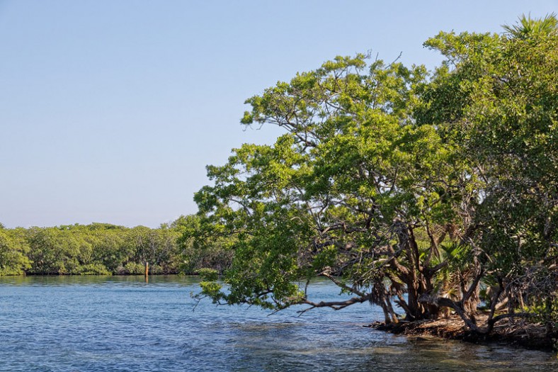 Roatan, Honduras