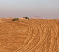 "Dunes Bashing" in der Wüste von Dubai