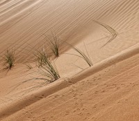 "Dunes Bashing" in der Wüste von Dubai