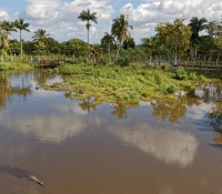 Krokodilfarm in Guama, Provinz Mantanzas