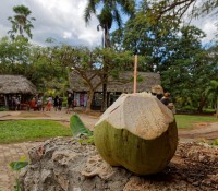 Krokodilfarm in Guama, Provinz Mantanzas