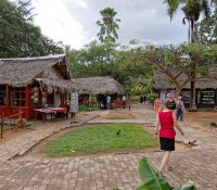 Krokodilfarm in Guama, Provinz Mantanzas