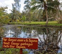 Krokodilfarm in Guama, Provinz Mantanzas
