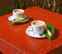 Cuban Coffee mit frischem Zuckerrohr