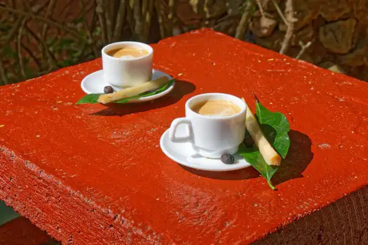 Cuba Coffee mit frischem Zuckerrohr