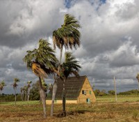 Tabak-Plantage zwischen Havanna und Vinales
