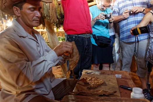 ... besonders authentisch ist es direkt bei einem Tabak-Bauern