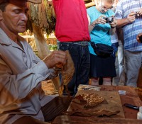 Tabak-Plantage im Vinales-Tal
