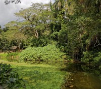 Wasserfall bei Soroa
