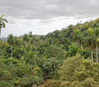 Wasserfall bei Soroa