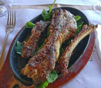 Restaurant Villa Lagarto