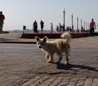 die Straßen von Cienfuegos