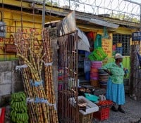 Markt in Montego Bay