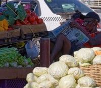 Markt in Montego Bay