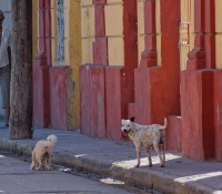 Santiago de Cuba, Fußgängerzone