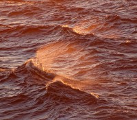 Sonnenuntergang vor Guantanamo Bay