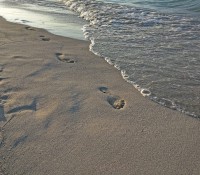 Strand von Varadero beim Hotel Sol Palmeras