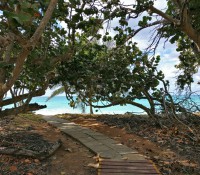 Strand von Varadero beim Hotel Sol Palmeras