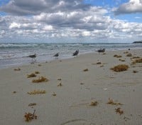 Strand von Varadero beim Hotel Sol Palmeras