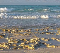 Strand von Varadero beim Hotel Sol Palmeras