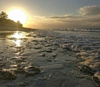 Strand von Varadero beim Hotel Sol Palmeras