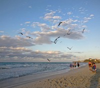 Strand von Varadero beim Hotel Sol Palmeras