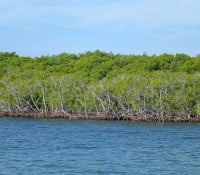 Katamaran-Ausflug nach Cayo Blanco