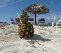 Katamaran-Ausflug nach Cayo Blanco