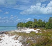 Katamaran-Ausflug nach Cayo Blanco