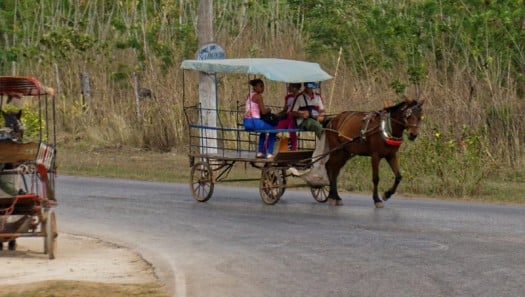 Pferdekutschen: ebenso nostalgisches wie unentbehrliches Forbewegungsmittel