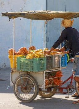 Je nach Saison wechselt das Obst-Angebot