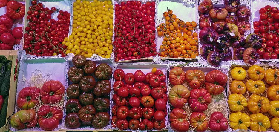 Tomaten-Angebot am Mercat de Santa Caterina