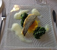 Marktfrischer Fisch mit Safranrisotto und Knoblauch-Spinat