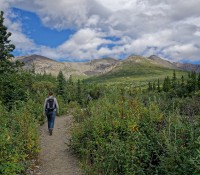 Wandern im Denali National Park
