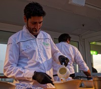 Paul Ivic: Dashi, Karotte, Rose