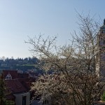 Frauenkirche Meissen
