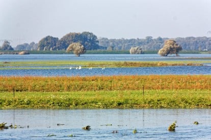 Elbe - Biosphärenreservat bei Wittenberg