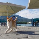 Vasiliki auf Lefkada