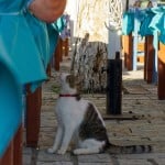 Vasiliki auf Lefkada