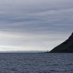 Die Hornbjarg-Klippen