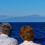 auf Walbeobachtungs-Tour vor Gran Canaria