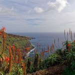 Die Küste Madeiras nach Funchal