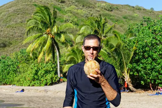 Die Kokosnuss in Zukunft definitiv ohne Plastik-Strohhalm - versprochen!