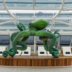 Yacht-Club-Sonnendeck