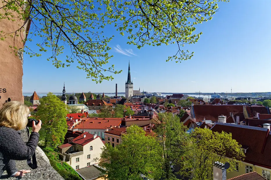 Blick auf Tallinn vom Domberg