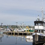 Fisherman's Terminal, Seattle